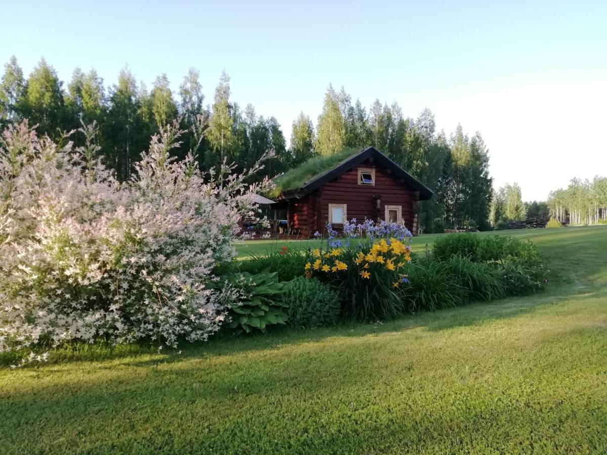 Вілла Paeikseranna Holiday Centre Nedsaja Екстер'єр фото